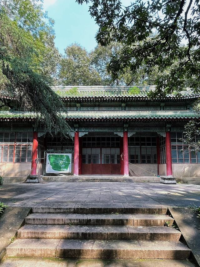 南京-鹽城-揚州4日遊 玩轉江蘇不踩雷必看攻略