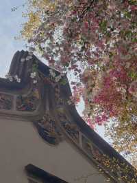 深圳園博園，邂逅絕美花海附拍照攻略