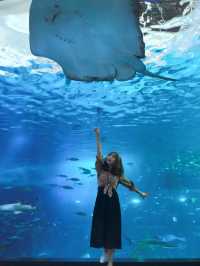 濟州島水族館｜一篇在手，暢遊無憂