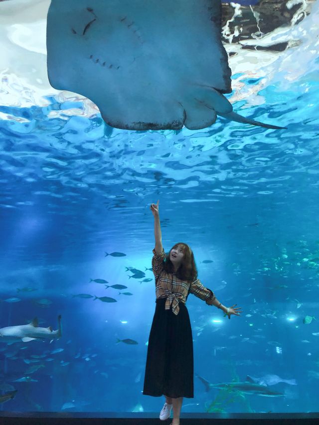 濟州島水族館｜一篇在手，暢遊無憂