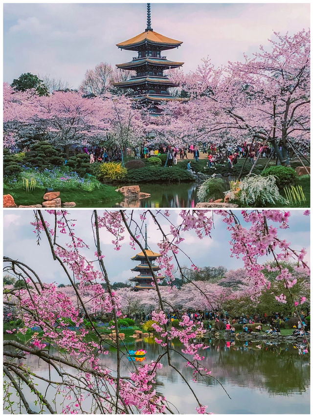 武漢去一趟，後勁真的太大了！因為一首歌來到一座城