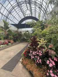 One Of The Best Free Things In Auckland, The Stunning Winter Gardens 