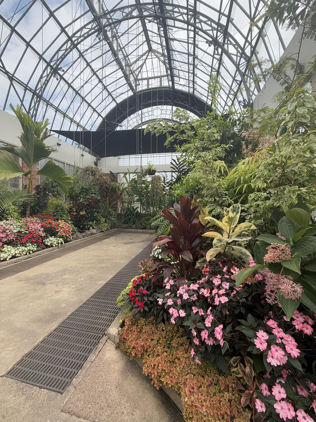 One Of The Best Free Things In Auckland, The Stunning Winter Gardens 