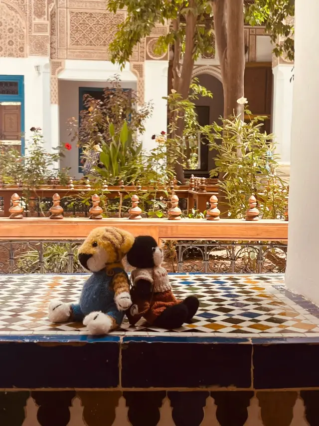 12-Day Visa-Free Tour of Morocco