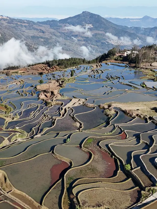 ทริปเที่ยวหยวนหยาง 3 วัน ช่วงวันหยุดชิงหมิง