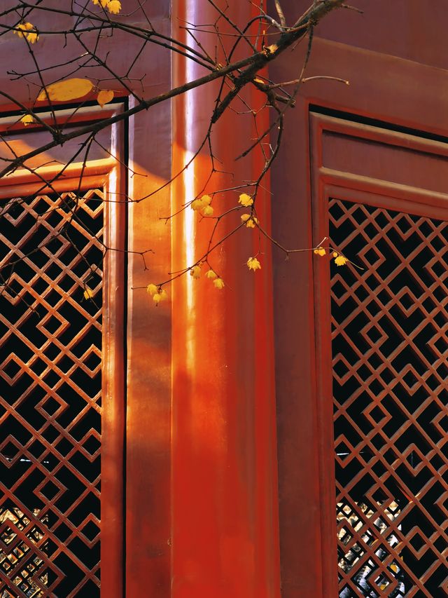 繁花落夢長安城（六）——西安碑林博物館