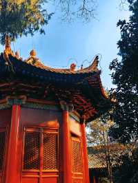 繁花落夢長安城（六）——西安碑林博物館