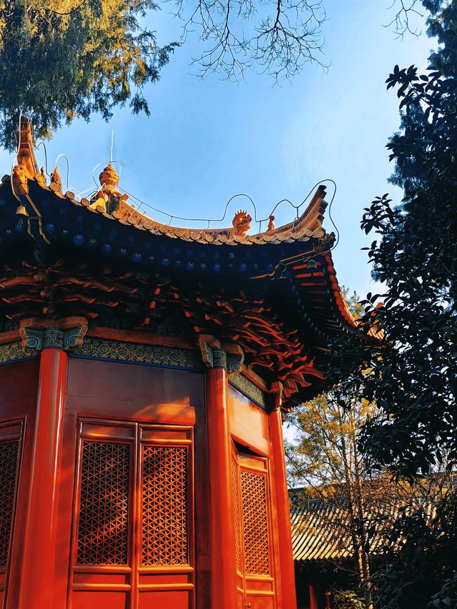 繁花落夢長安城（六）——西安碑林博物館