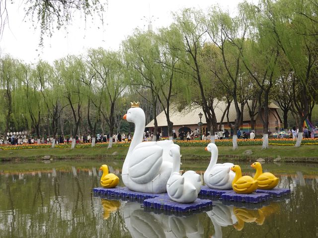 真係唔係喺荷蘭｜跟風成功嘅一次！