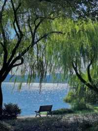Discover the Beauty of West Lake with a 30,000-Step Adventure!