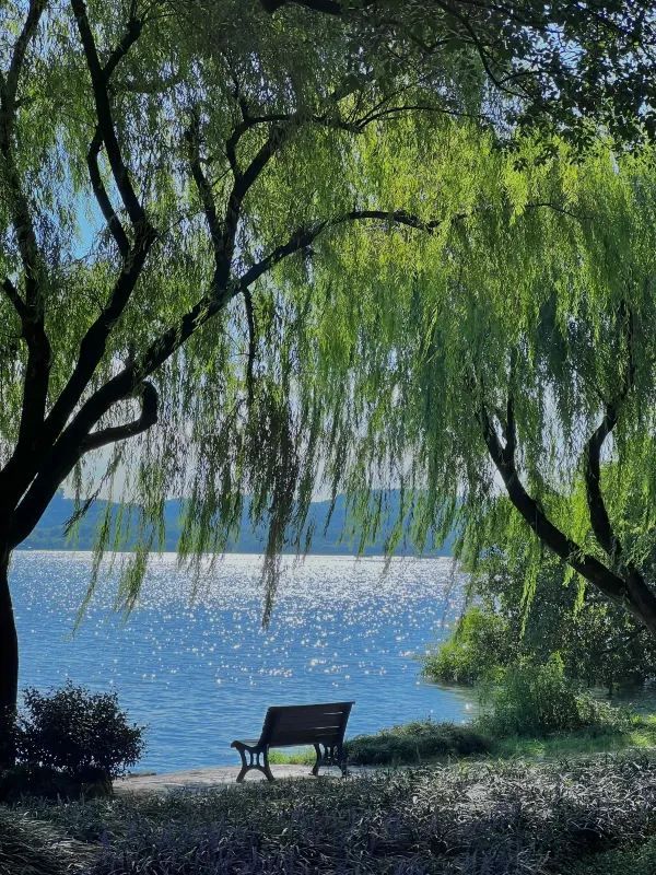 Discover the Beauty of West Lake with a 30,000-Step Adventure!