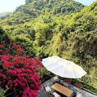🌳深圳新開！藏在山裡的田園鄉村小院🍃