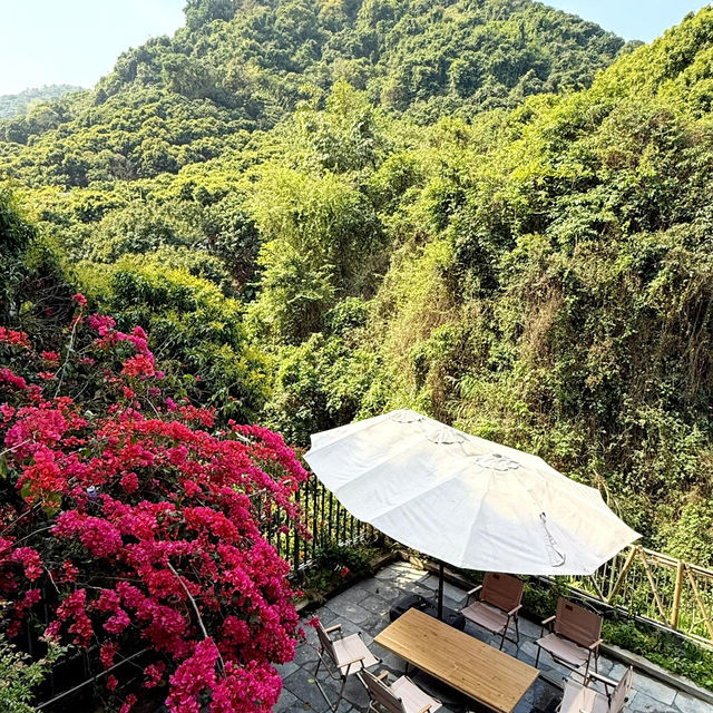 🌳深圳新開！藏在山裡的田園鄉村小院🍃