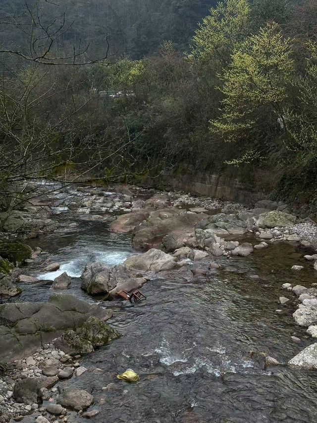 成都青城山！！花得最值嘅一筆錢！！！唔捨得退房….