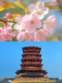 漢中已回，要去的姐妹慎重。