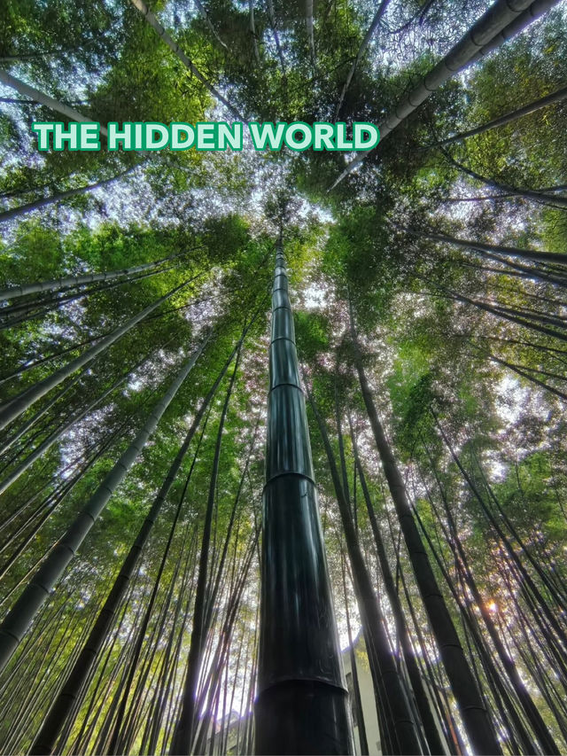 Buddies, you won’t believe this place!