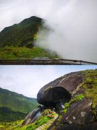 探秘福建金饶山：隱藏在大山深處的絕美風光