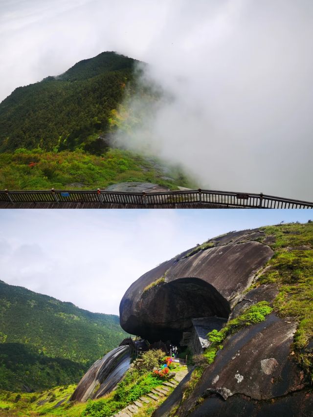 探秘福建金饶山：隱藏在大山深處的絕美風光
