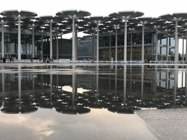 【北京世園會】打卡全球園藝盛宴！解鎖夢幻植物館