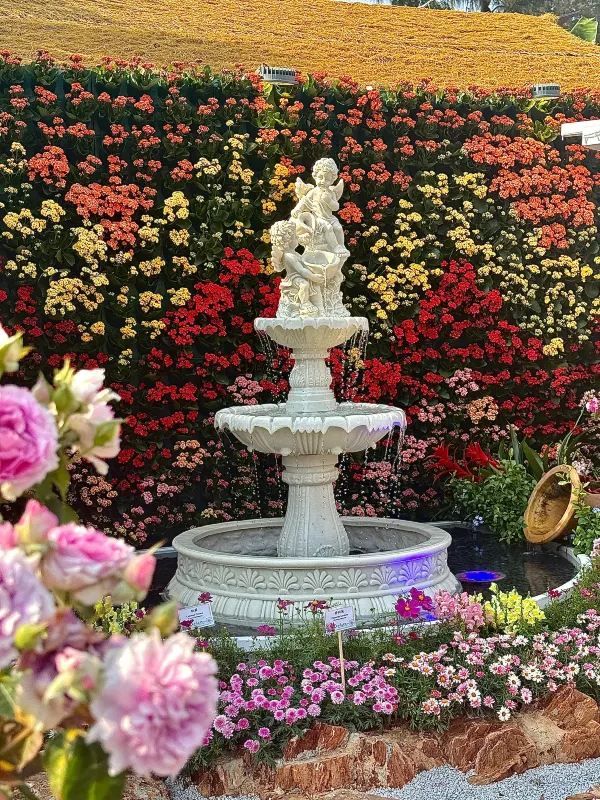 🌸香港花展2025：掉進花海的夢幻體驗！