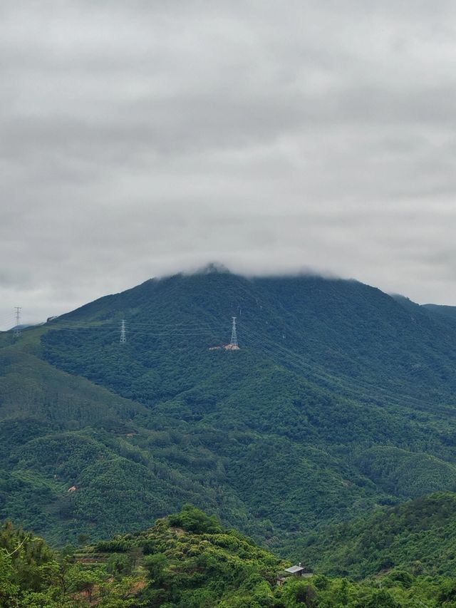 廈門小眾秘境｜山野中的千年古剎太華寺