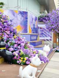 5.1喺昆明一定要影嘅藍花楹