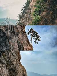 《老君山:人間仙境處,詩意滿山川》