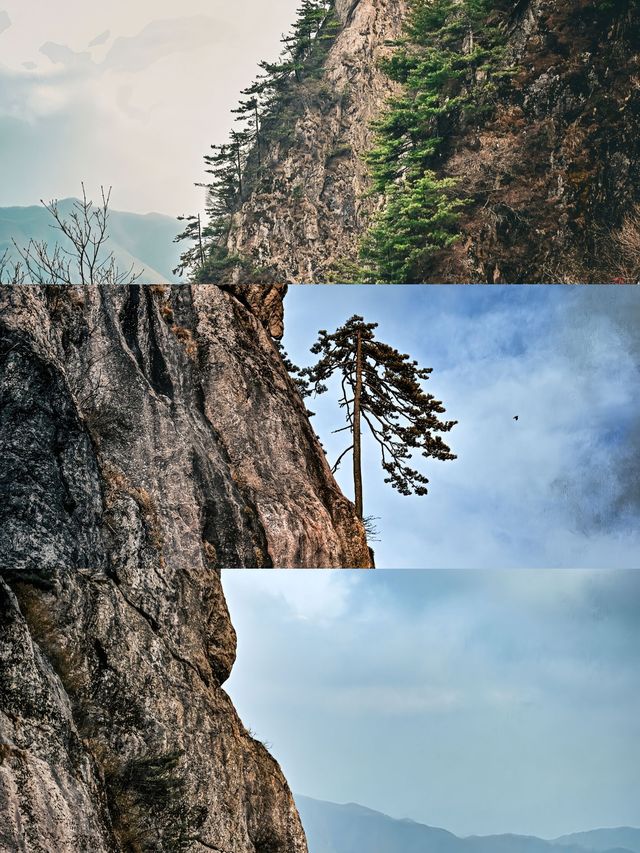 《老君山:人間仙境處,詩意滿山川》 《老君山:人間仙境處,詩意滿山川》