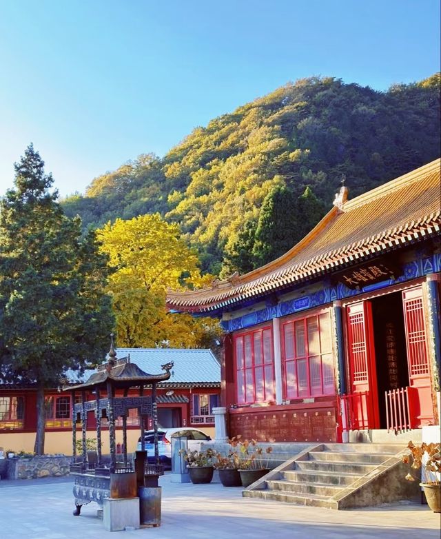 唐山遵化禪林寺古銀杏風景園參觀攻略
