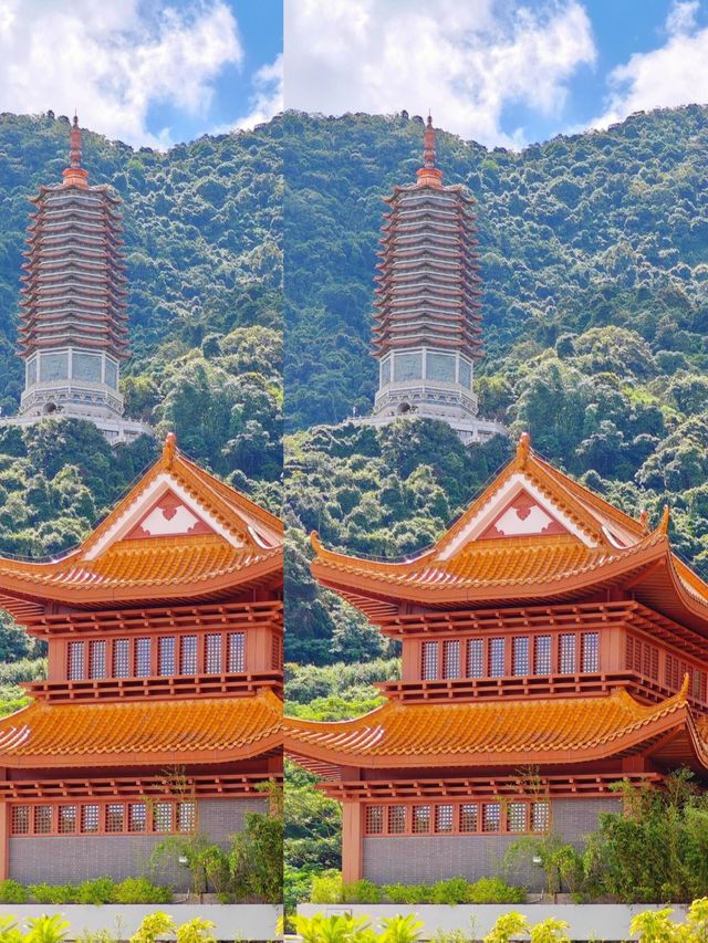 如果你嚟深圳，我一定會帶你去仙湖植物園！
