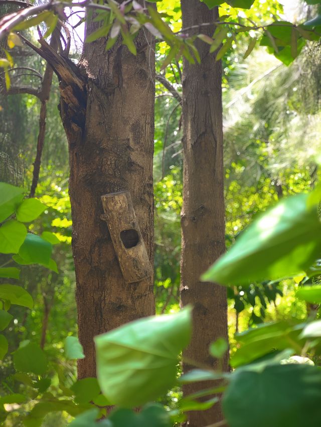 漩門灣濕地公園冇人嘅感覺實在太正啦