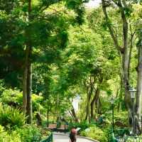 香港動植物公園深度遊｜鬧市綠洲的慢時光探索之旅