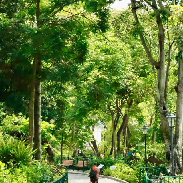 香港動植物公園深度遊｜鬧市綠洲的慢時光探索之旅
