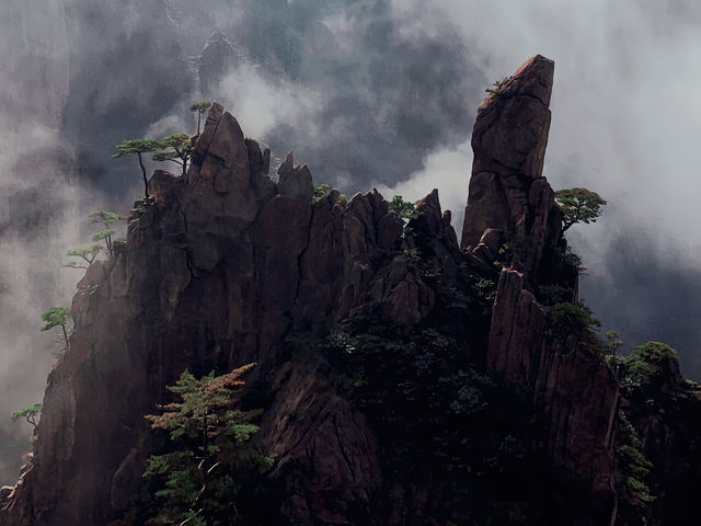 去一次黃山嘅成本太高啦