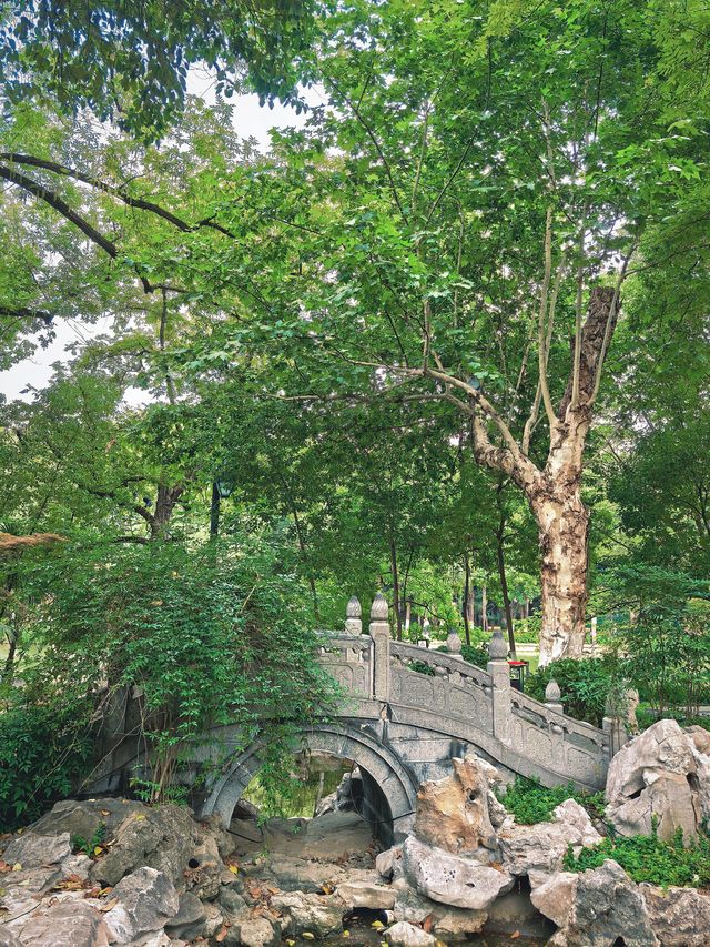 合肥隱世美學｜包公園浮莊裡的水墨秘境