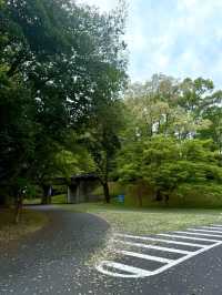 東京昭和紀念公園交通攻略：輕鬆抵達四季花海勝地