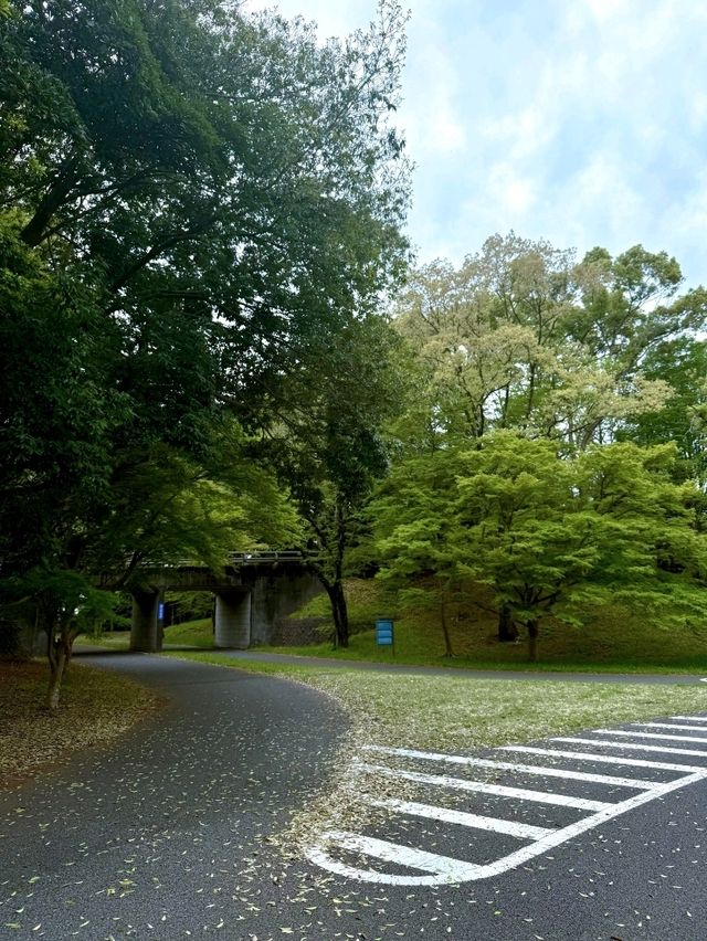 東京昭和紀念公園交通攻略：輕鬆抵達四季花海勝地