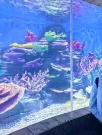 Diving into Savings & Magic!�🐠