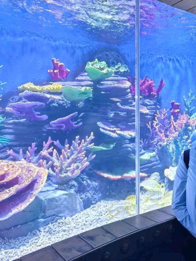 Diving into Savings & Magic!�🐠