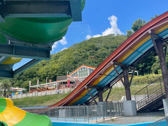 🌊 暑假期間必去！日本兵庫縣姬路セントラルパーク水上樂園