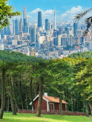 God's Eye View of Guangzhou! Baiyun Mountain's Moxing Ridge, the Ultimate City Skyline Masterpiece!