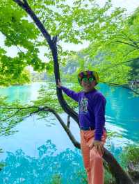 【歐洲大巴爾幹半島環遊記之二十六：探秘克羅地亞十六湖國家公園