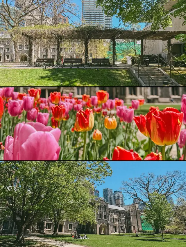 Toronto | The Stunning Victoria College Castle