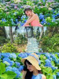 揚州，住進繡球花海包圍嘅莊園
