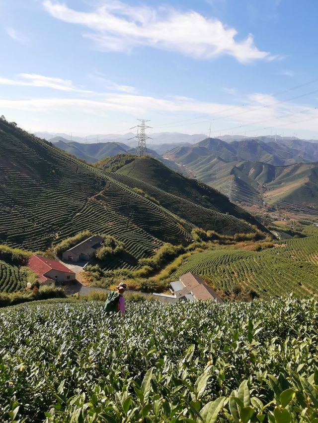 湖州陸羽古道