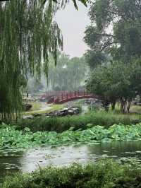 煙雨圓明園：江南韻與歷史愁