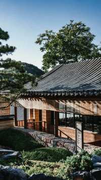 京城隱居 | 邂逅悉曇，遇見另一種生活