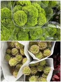 雲南鮮花市場花海裡走走全身心舒爽真美好