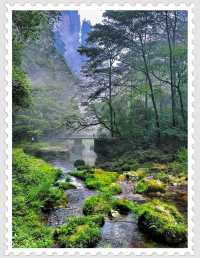 張家界四日三夜旅遊全攻略，帶你暢遊山水奇境