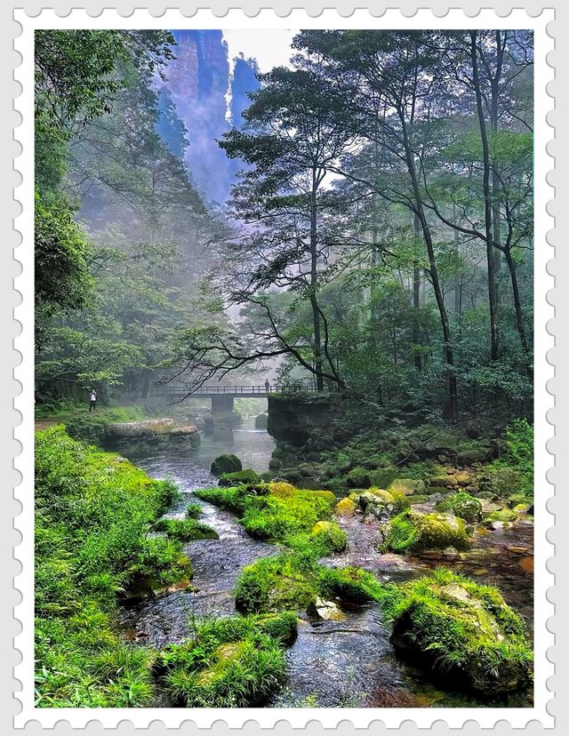 張家界四日三夜旅遊全攻略，帶你暢遊山水奇境
